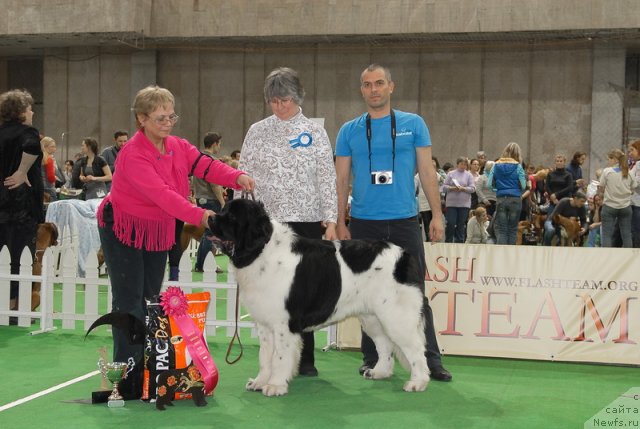 Фотография № 81445