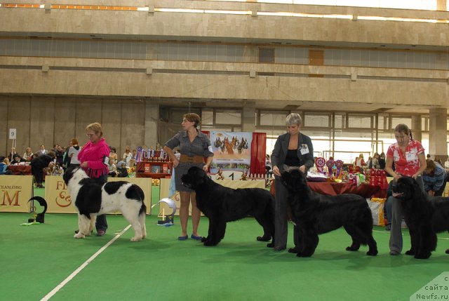 Фотография № 81449