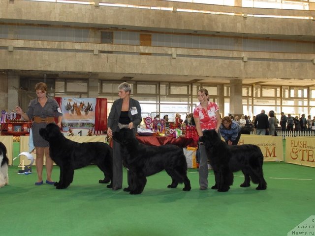 Фотография № 81451