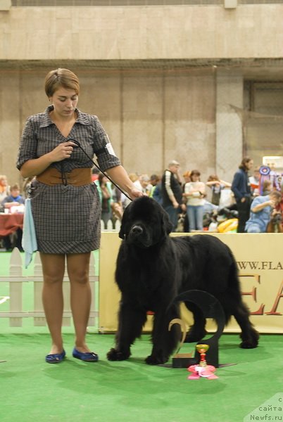 Фотография № 81454