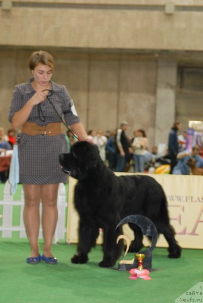 Фотография № 81458