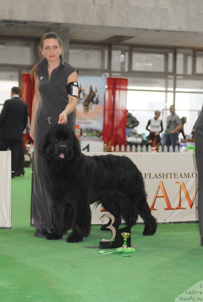 Фотография № 81463