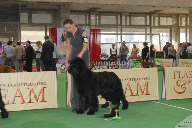 Фотография № 81464