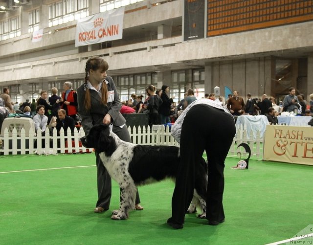 Фотография № 81496