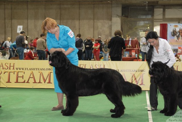 Фотография № 81501