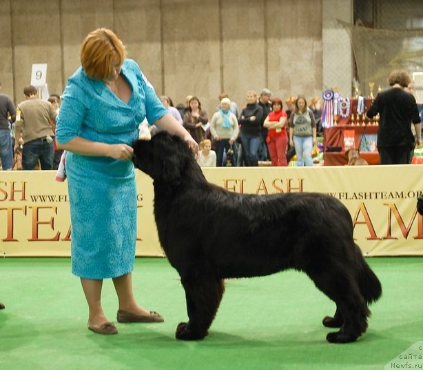 Фотография № 81502