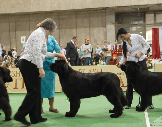 Фотография № 81503