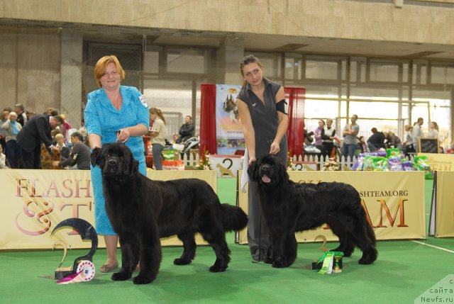 Фотография № 81504