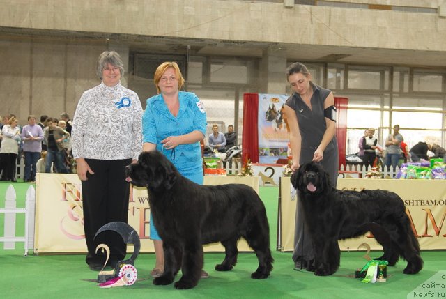 Фотография № 81505