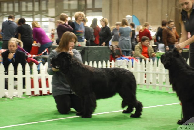 Фотография № 81507