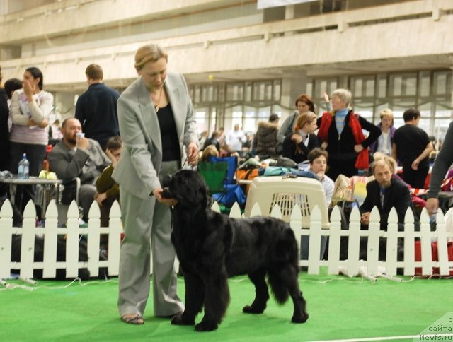 Фотография № 81509