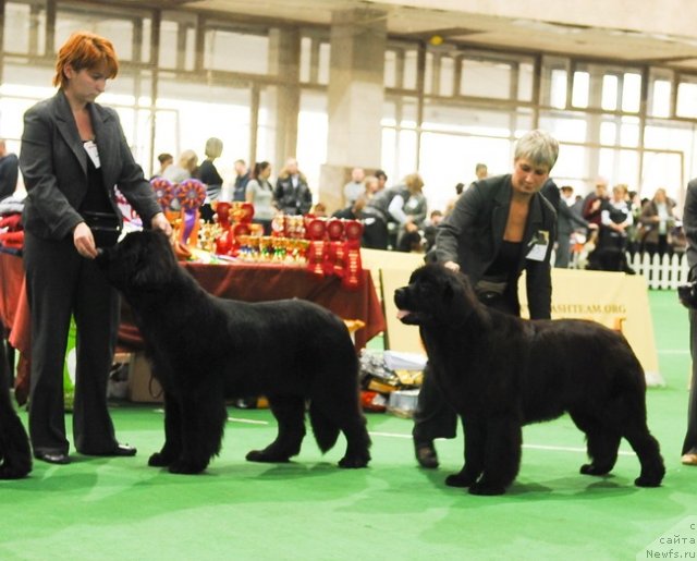 Фотография № 81511