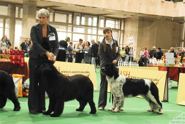 Фотография № 81513