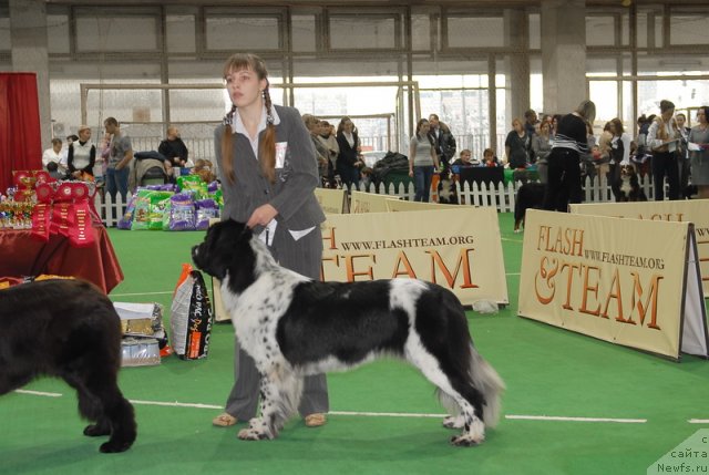 Фотография № 81514