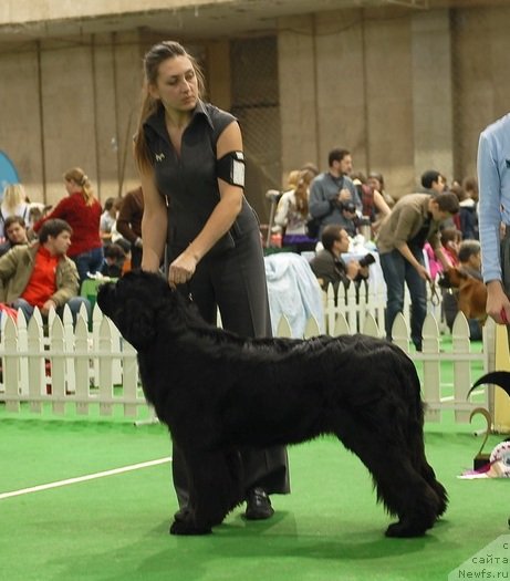 Фотография № 81515