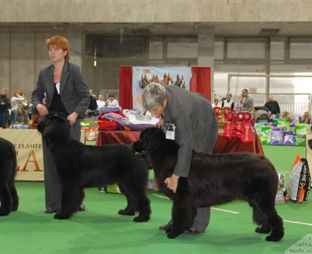 Фотография № 81516