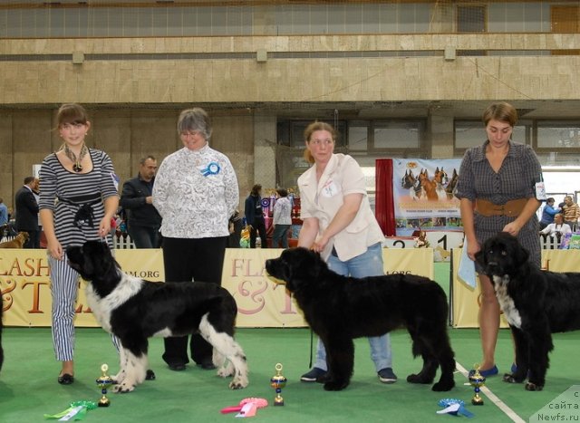 Фотография № 81521