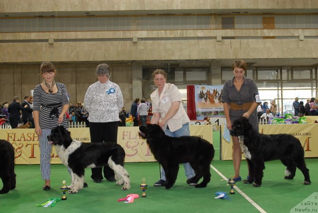 Фотография № 81522