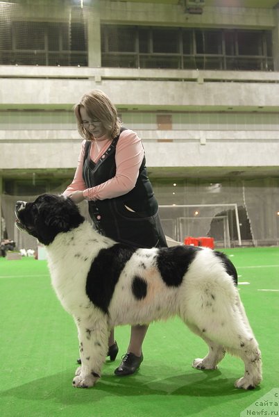 Фотография № 81525