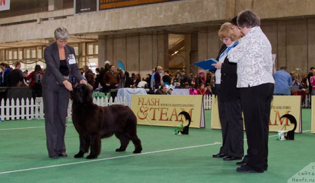 Фотография № 81541