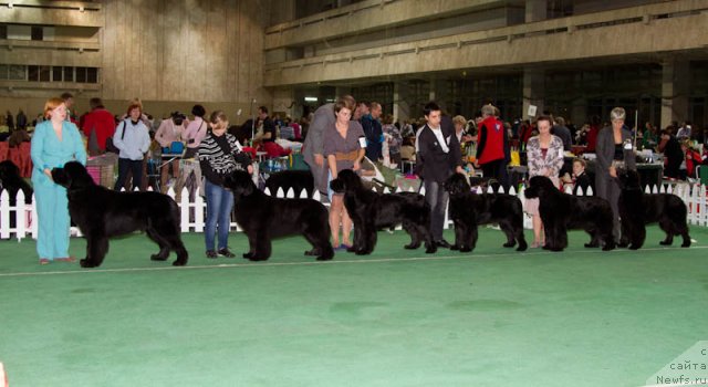 Фотография № 81545