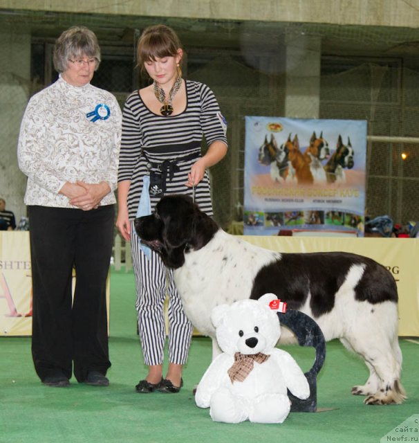 Фотография № 81547