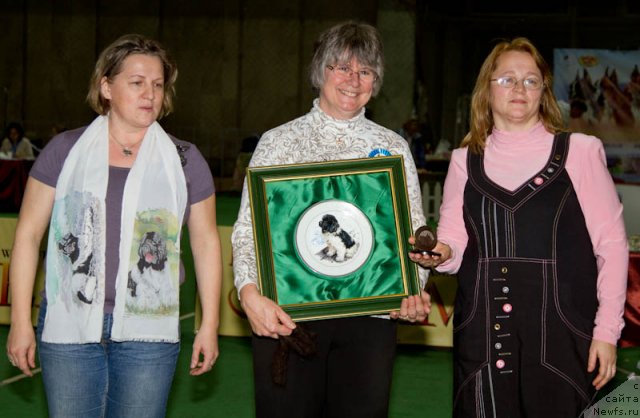 Фотография № 81548