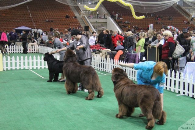 Фотография № 81560