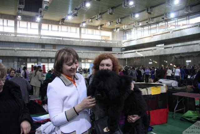 Фотография № 81566