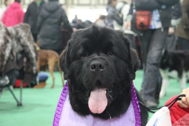 Фотография № 81569