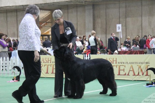 Фотография № 81581