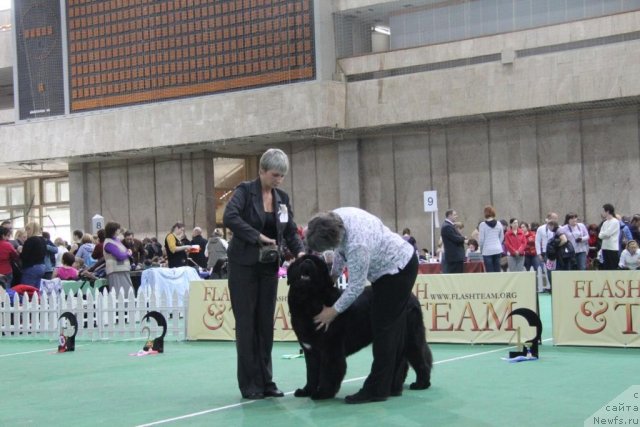 Фотография № 81582