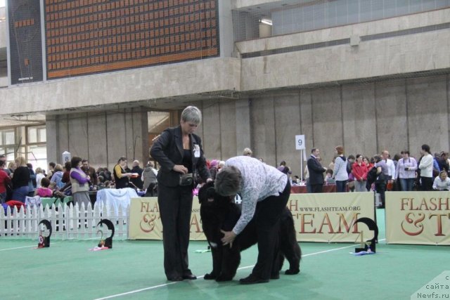 Фотография № 81583