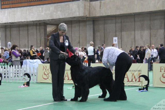 Фотография № 81585