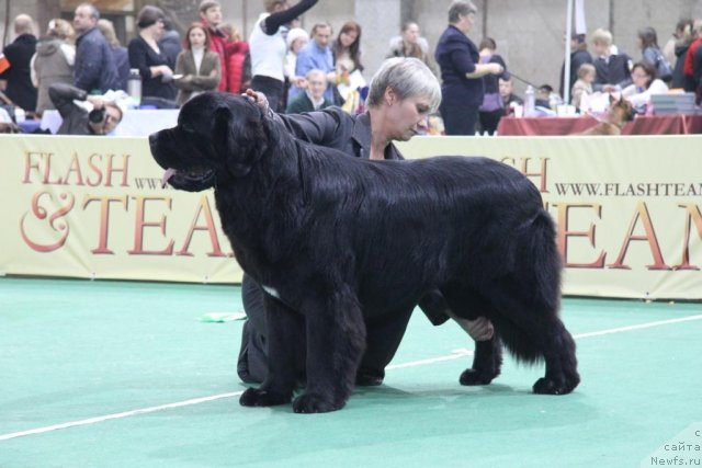 Фотография № 81587