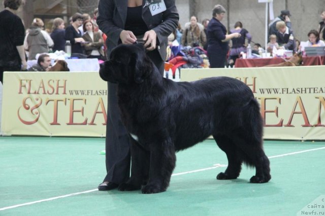 Фотография № 81590