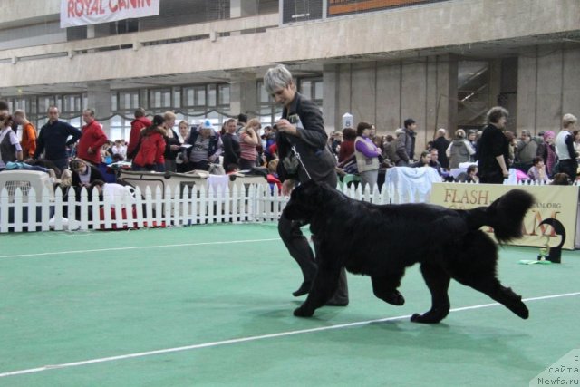 Фотография № 81591