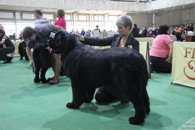 Фотография № 81597