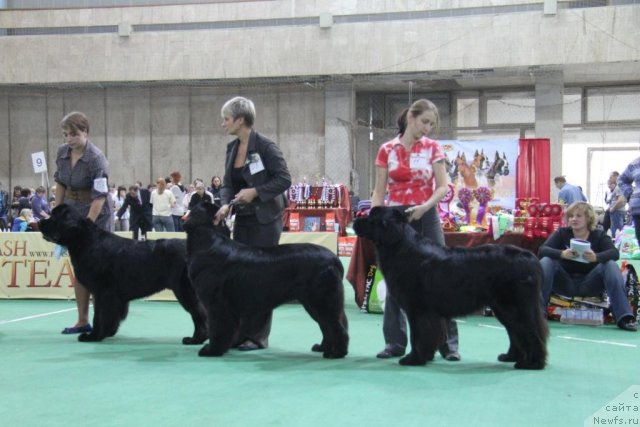 Фотография № 81602