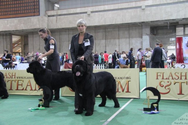 Фотография № 81604