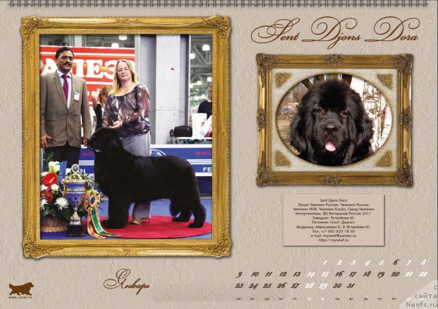 Фотография № 81613