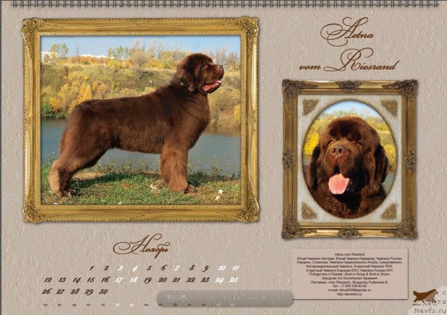 Фотография № 81620