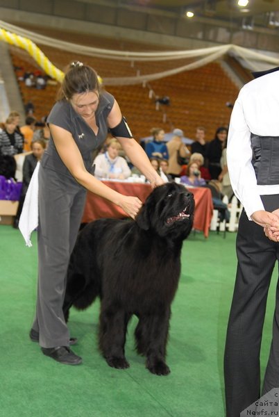 Фотография № 81629