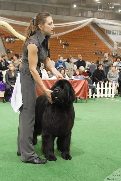 Фотография № 81630