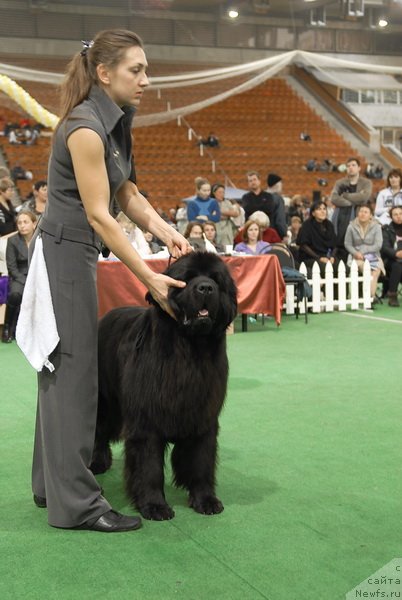 Фотография № 81631