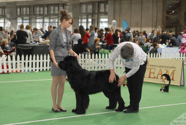 Фотография № 81635