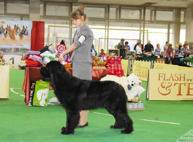 Фотография № 81637