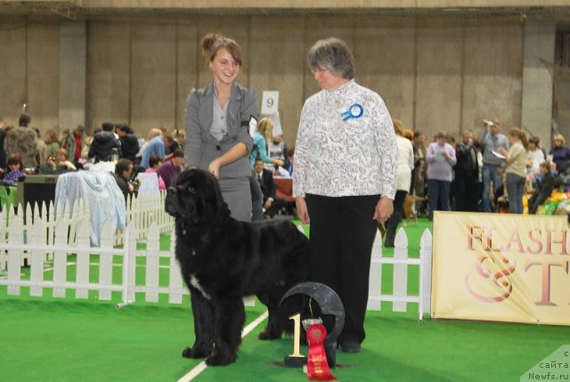 Фотография № 81639