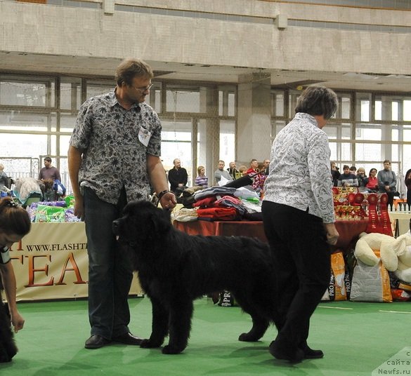 Фотография № 81643