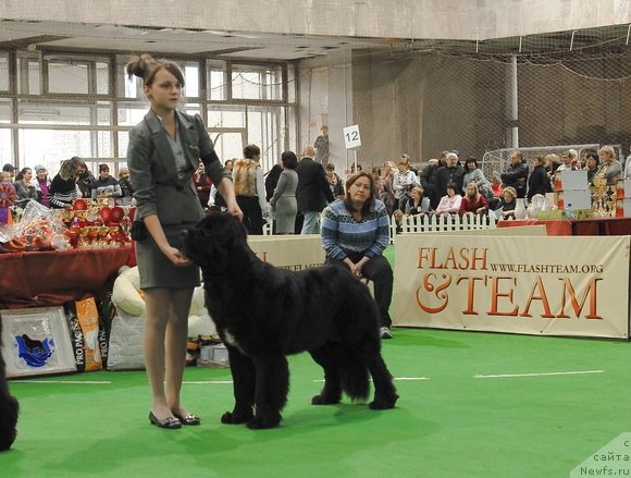 Фотография № 81644